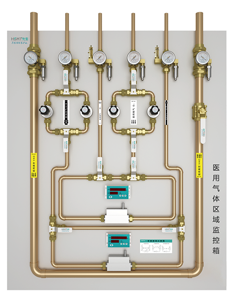 21Medical Gas Zone Monitoring Box.png